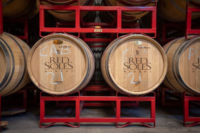 Photo credits: TriMotion Media.