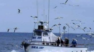 Coast Guard, good Samaritan and partner agencies rescue 14 people who abandoned ship near Santa Cruz Island