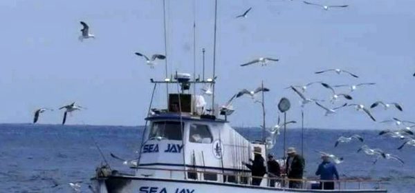 Coast Guard, good Samaritan and partner agencies rescue 14 people who abandoned ship near Santa Cruz Island