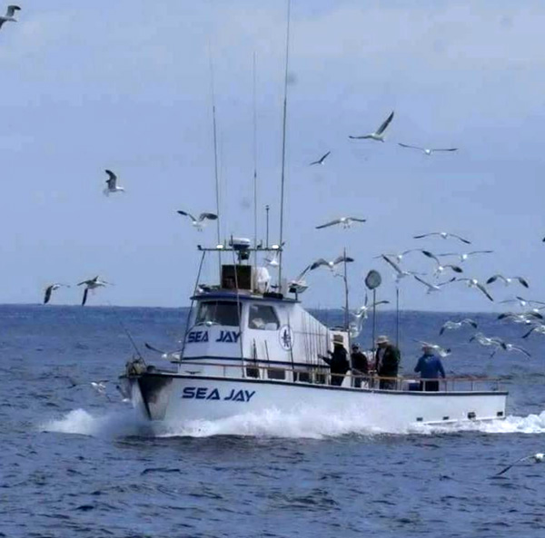 Coast Guard, good Samaritan and partner agencies rescue 14 people who abandoned ship near Santa Cruz Island