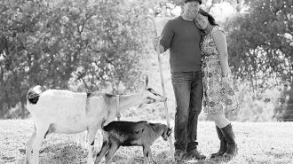 'Shepard to Chef' event added to Open Farm Days