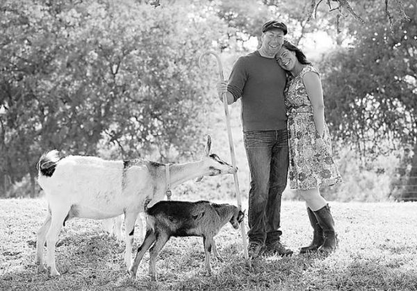 'Shepard to Chef' event added to Open Farm Days