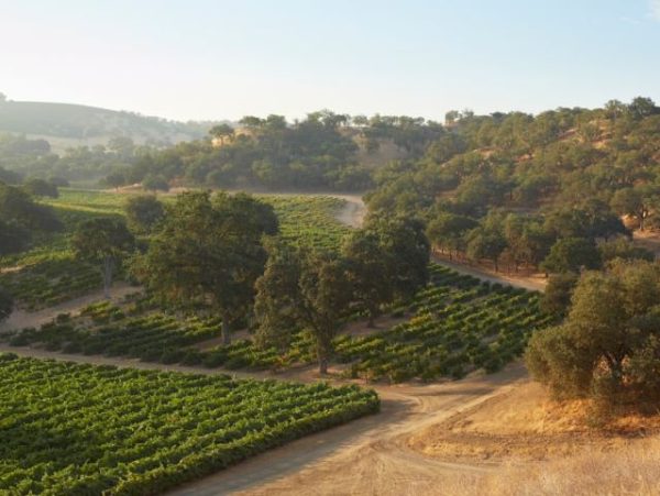 paso robles wine country
