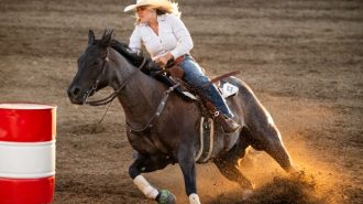 Mid-State Fair releases Country Rodeo results