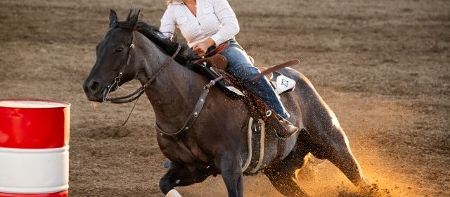 Mid-State Fair releases Country Rodeo results