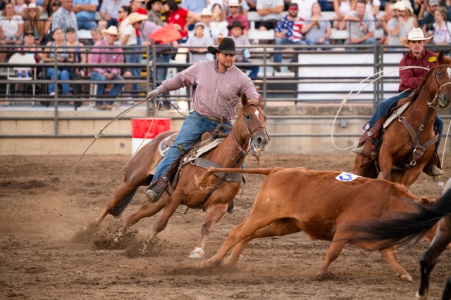 Mid-State Fair releases Country Rodeo results