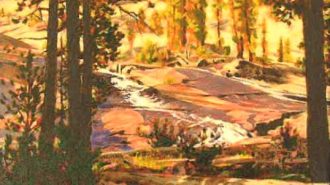 David Butz art on display in the library this month