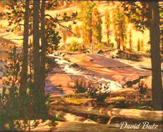 David Butz art on display in the library this month