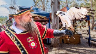 Central Coast Renaissance Festival