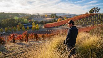 Winemaker Matt Trevisan