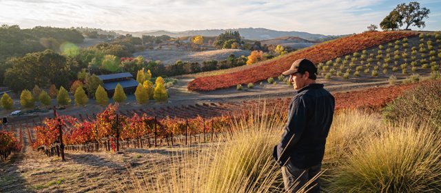 Winemaker Matt Trevisan