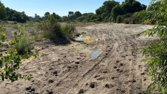 County ends Salinas River 'live stream'