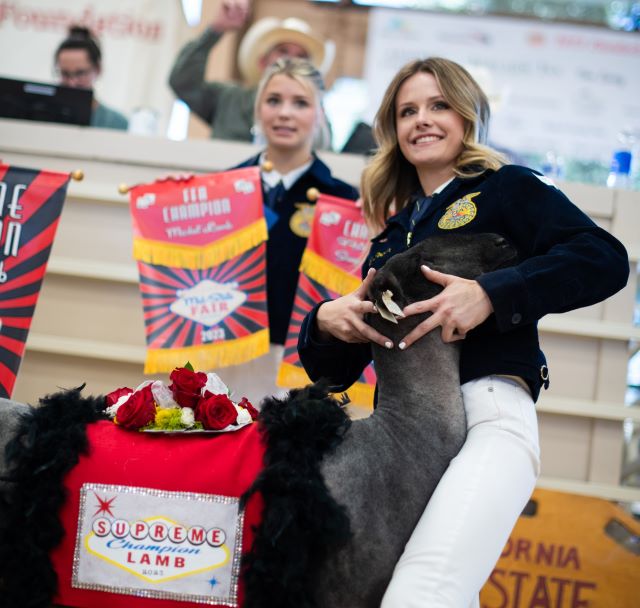 Local FFA and 4-H exhibitors show their animals at Mid-State Fair