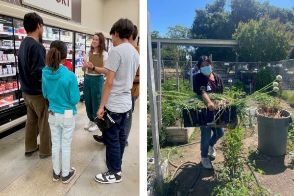 Paso Robles teens gain skills with YouthWorks internships