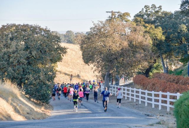 Wine Country Runs annual half marathon