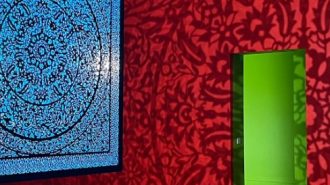 SLO Museum of Art to present solo exhibition by artist Anila Agha