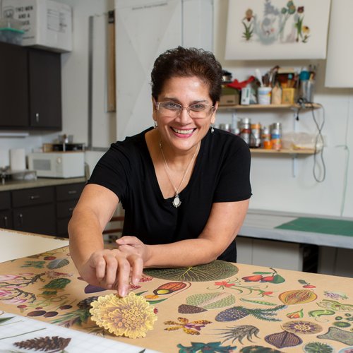 Pakistani-American artist Anila Agha