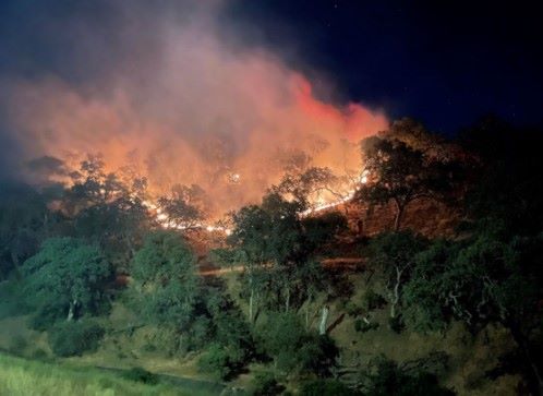 Paso Robles vegetation fire may have been caused by illegal fireworks