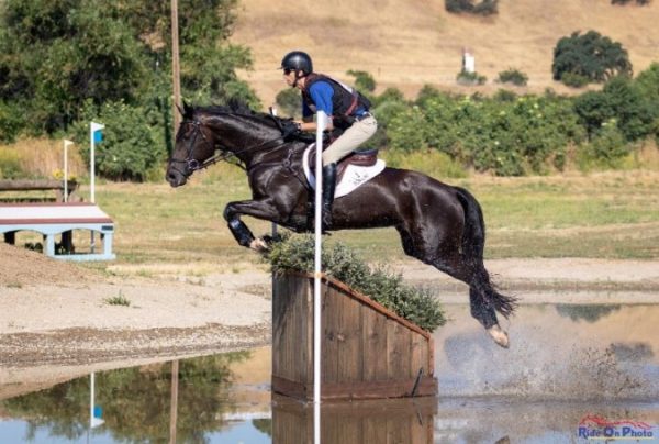 Young horses take spotlight at Twin Rivers Summer Horse Trials