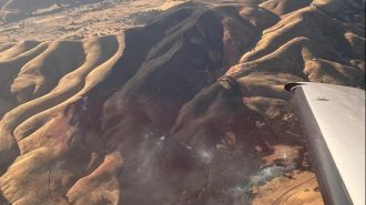 Crews contain vegetation fire near San Miguel