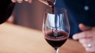 Australian wine brand launches wine made from Paso Robles grapes