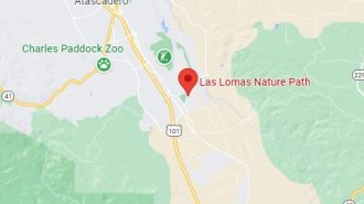 human remains found atascadero