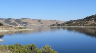 Wildflower Triathlon making comeback with new operator