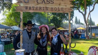 Cass-Winery