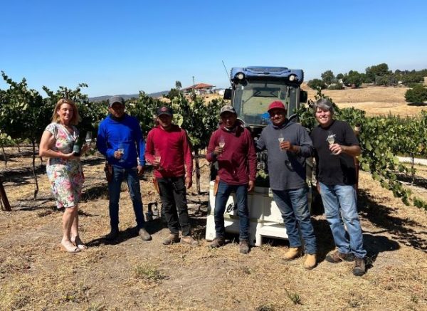 Harvest of sparkling wine grapes begins in Paso Robles