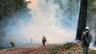 Paso Robles sends fire engine, crew to help fight Northern California fires