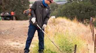 Riverbed fires decrease by 46% year-over-year
