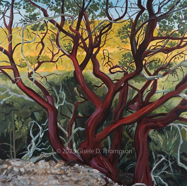 New landscape exhibit on display at Odyssey Café
