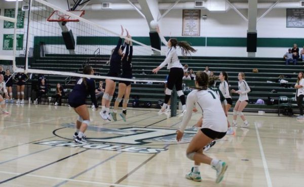 Templeton girls' softball team beats Arroyo Grande