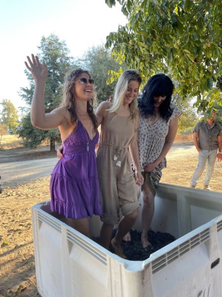 Timshel Vineyards presents: Annual Harvest Stomp Dinner in the Vineyard