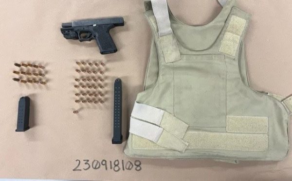 Felon arrested for weapons offences, warrants