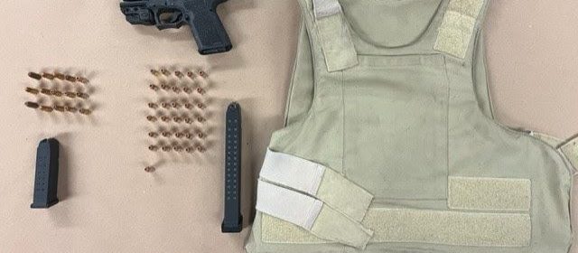 Felon arrested for weapons offences, warrants