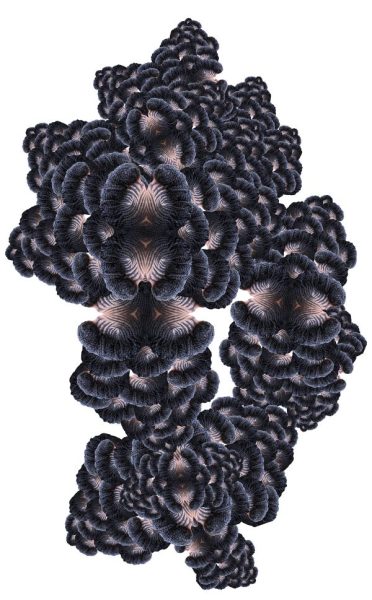 Alisa_SikelianosCarter_bloom_small