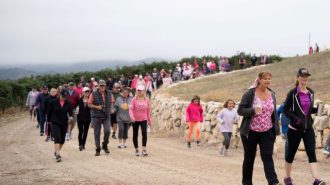 Local winery to host second annual Walk for Cancer