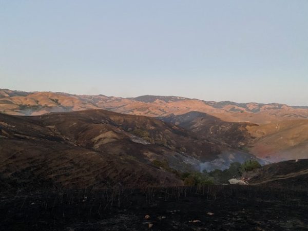 Fire near Cambria 40% contained this morning
