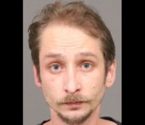 Paso Robles man pleads guilty to engaging in sex acts with children