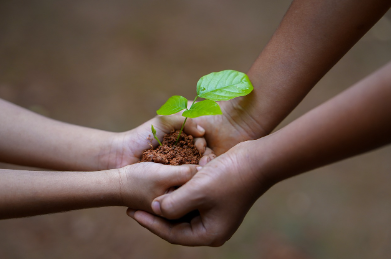 Nominations open for outstanding philanthropist of the year award