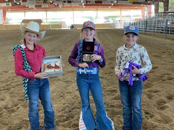 Pioneer Day contest winners announced