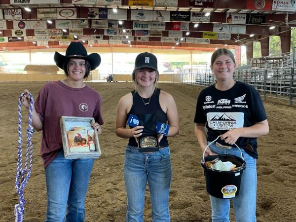 Pioneer Day contest winners announced