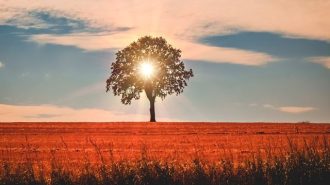 Warming trend in the forecast this week for Paso Robles