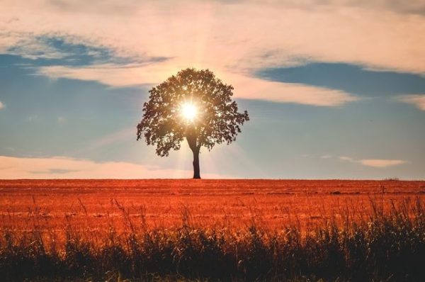 Warming trend in the forecast this week for Paso Robles