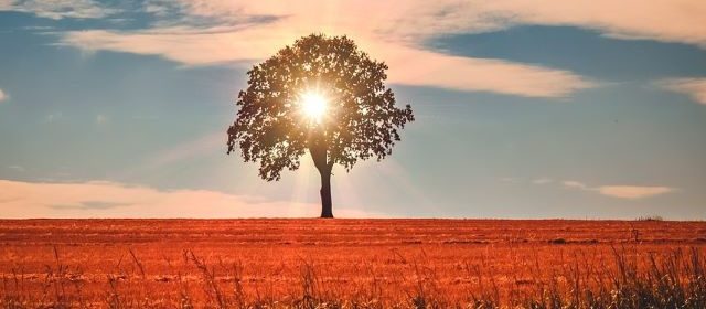 Warming trend in the forecast this week for Paso Robles