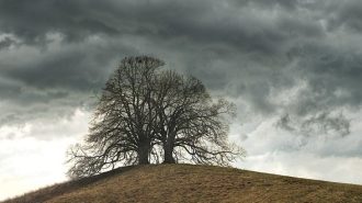 cooler weather paso robles