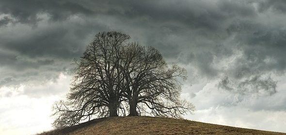 cooler weather paso robles