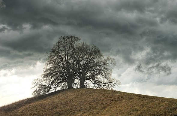 cooler weather paso robles