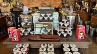 We Olive Paso Robles marks 20th anniversary with special events